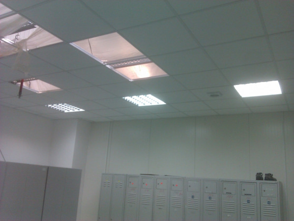 IMAG0531