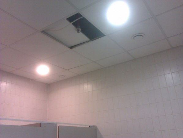 IMAG0551