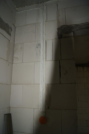SONY DSC