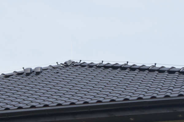 SONY DSC